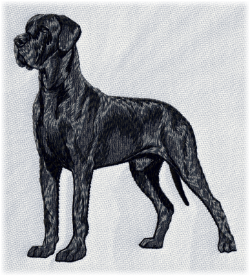 Great Dane