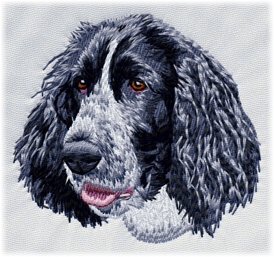 English Springer Spaniel