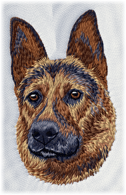 German Shepherd