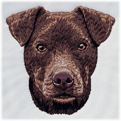 Patterdale Terrier