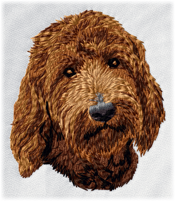 Golden Doodle