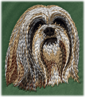 Lhasa Apso