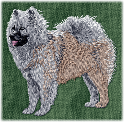 Eurasier