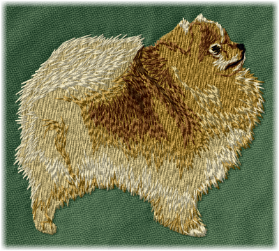 Pomeranian