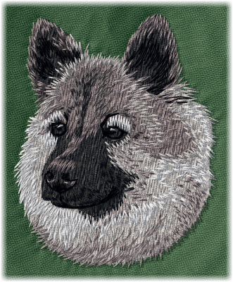 Eurasier