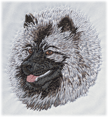 Keeshond