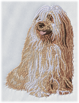 Tibetan Terrier