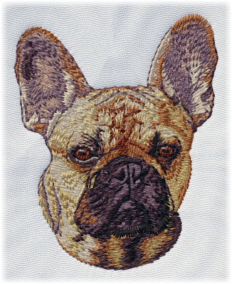 French Bulldog 2 | Embird Embroidery Stock Designs e-Shop