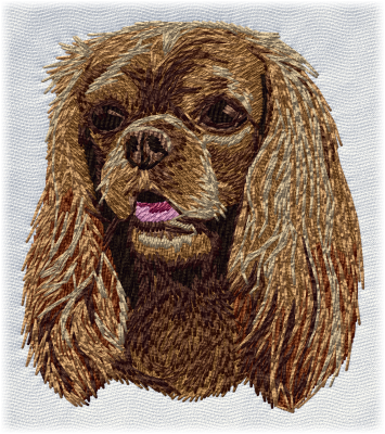 Dark Brown King Charles Spaniel - Cavalier King Charles Spaniel Mit Bilder Video : Maybe you would like to learn more about one of these?