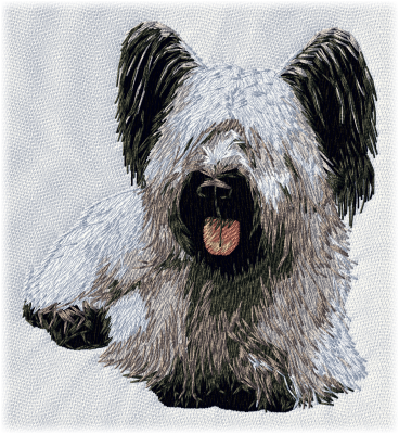 Skyeterrier