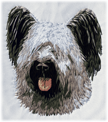 Skyeterrier