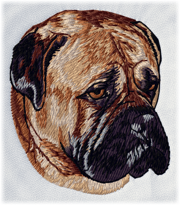 Bullmastiff