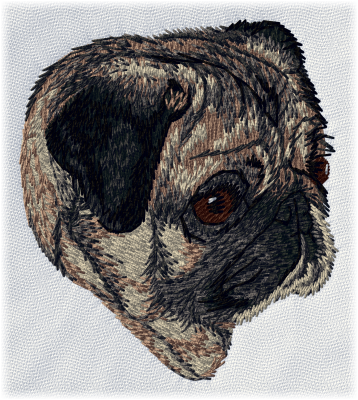 Pug