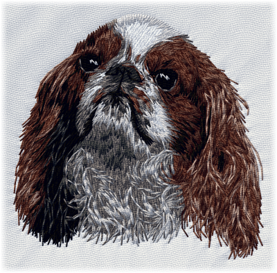 King Charles Spaniel