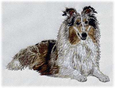 Collie