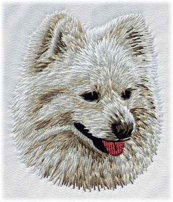 German Spitz