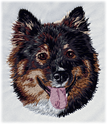 Finnish Lapphund