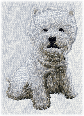 West Highland White Terrier