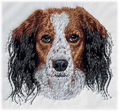 Kooikerhondje