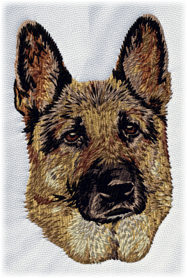 German Shepherd