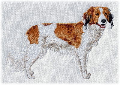 Kooikerhondje