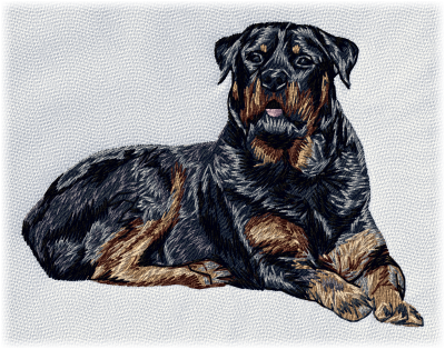 Rottweiler