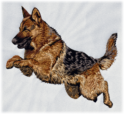 German Shepherd