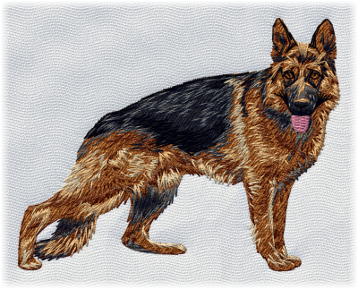 German Shepherd