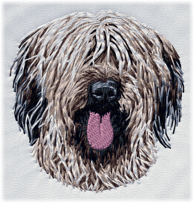 Briard