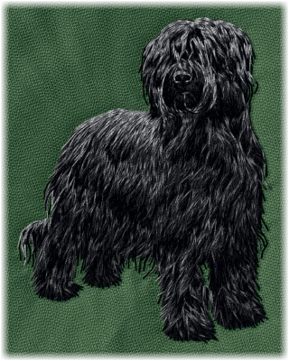 Briard (Berger De Brie)