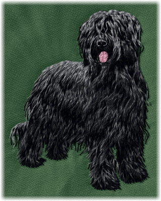 Briard (Berger De Brie)