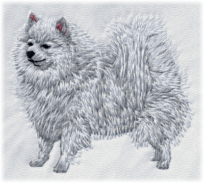 German Spitz