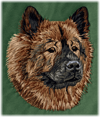 Eurasier