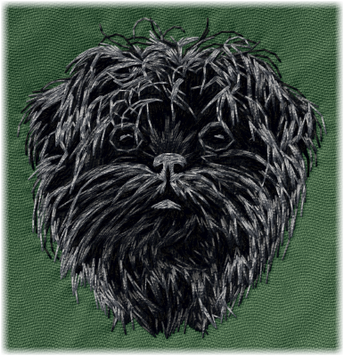 Affenpinscher