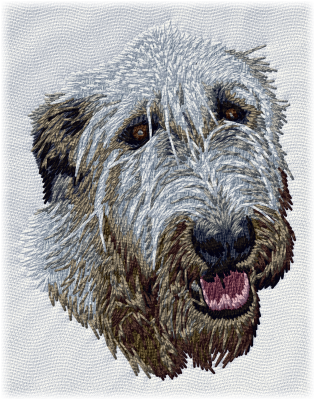 Irish Wolfhound