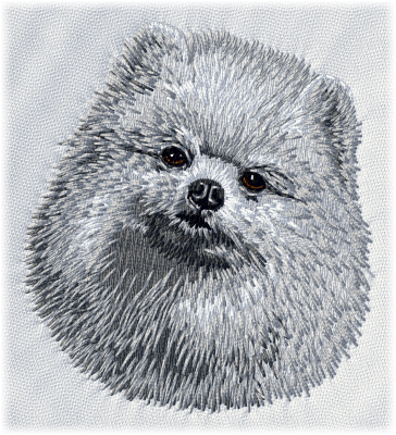 German Spitz