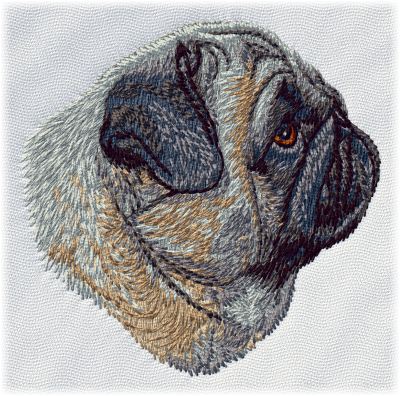 Pug