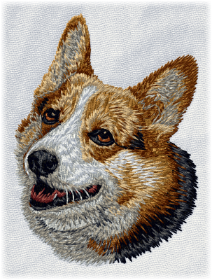 Pembroke Welsh Corgi