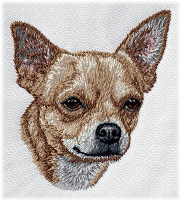 Chihuahua