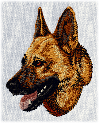 German Shepherd