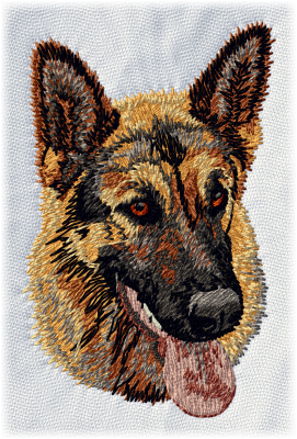 German Shepherd