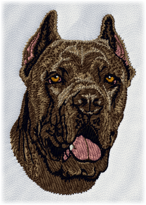 Cane Corso