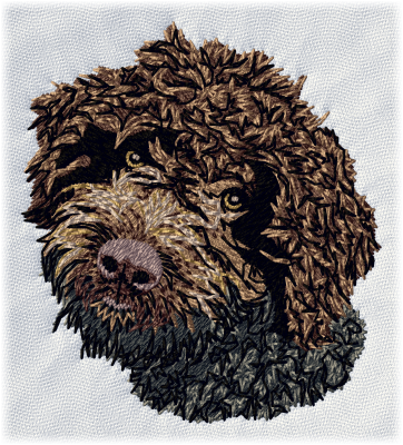 Lagotto Romagnolo