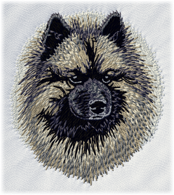 Keeshond