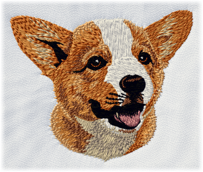 Pembroke Welsh Corgi