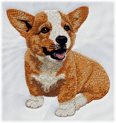 Pembroke Welsh Corgi