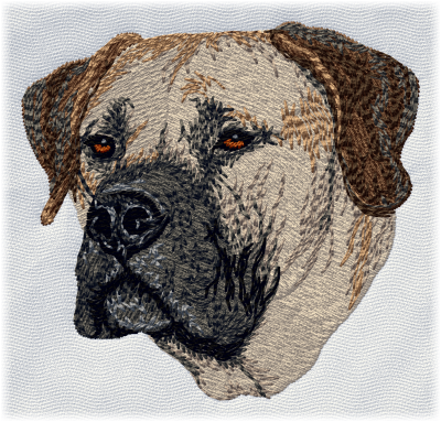 Boerboel