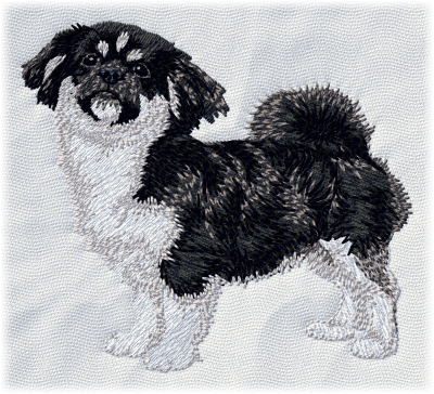 Tibetan Spaniel