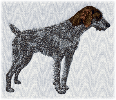 German Wire-haired Pointer