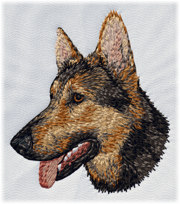 German Shepherd